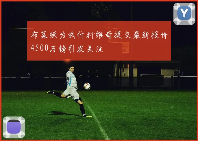 布莱顿为武什科维奇提交最新报价4500万镑引发关注